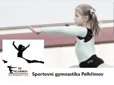 Sportovní gymnastika Pelhřimov - finanční dar